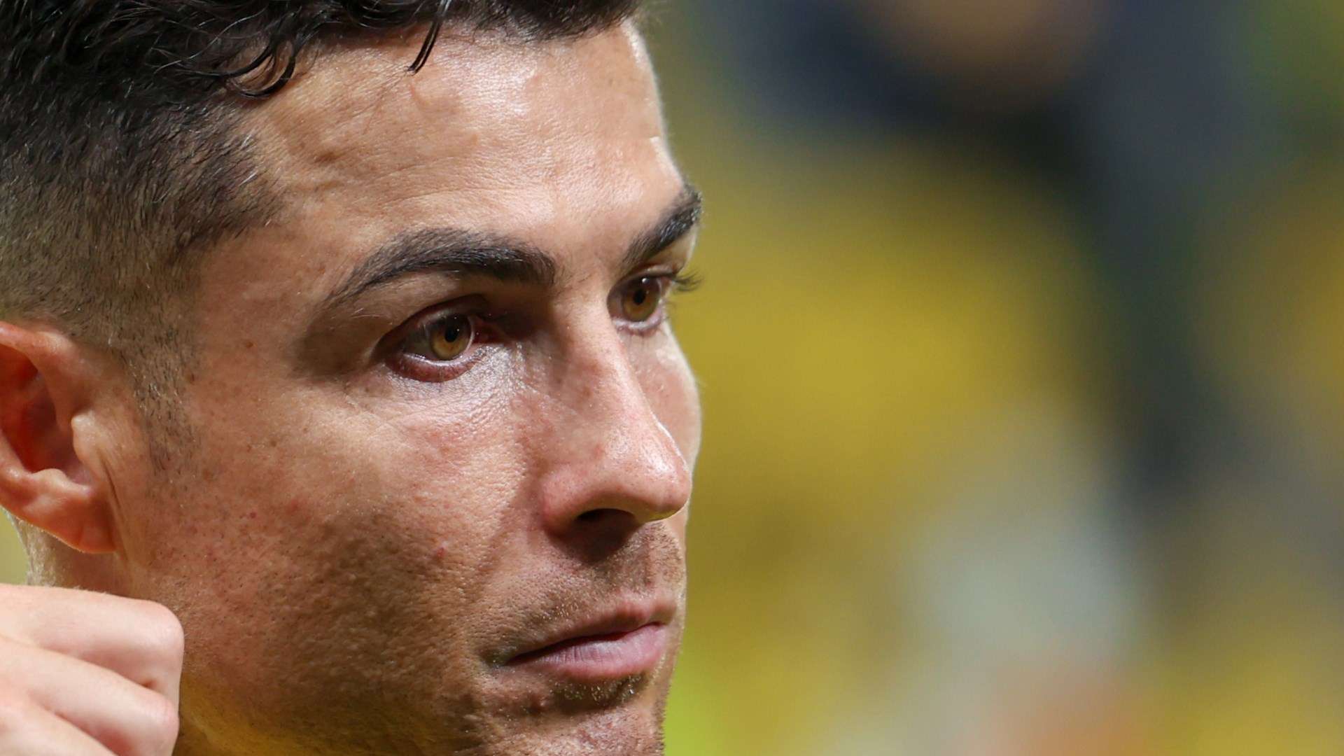 客家扳平比 客家扳平比